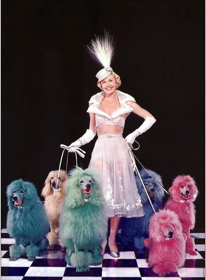 Doris Day in 1952 for the cover of Collier’s.